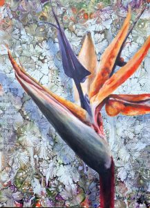 My Bright Bird of Paradise